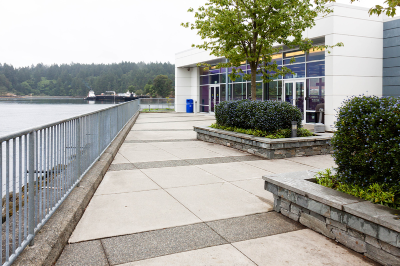 Illustration for article titled Pics from the 2017 North Island Road Trip: 2017-06-18 at Duke Point Ferry Terminal and All Caddy Pics